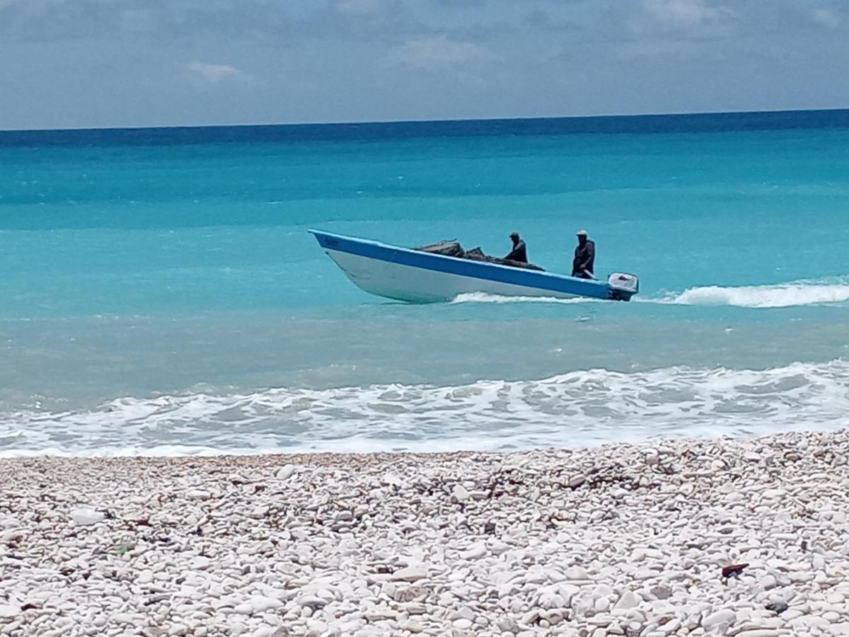 Beachfront Apartment, Quiet 4 Beds, 1 Bath, Ac, Wi-Fi, Hot Water, In Paraiso Near Los Patos 外观 照片