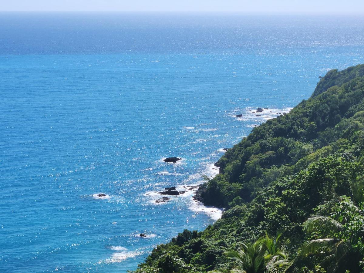 Beachfront Apartment, Quiet 4 Beds, 1 Bath, Ac, Wi-Fi, Hot Water, In Paraiso Near Los Patos 外观 照片