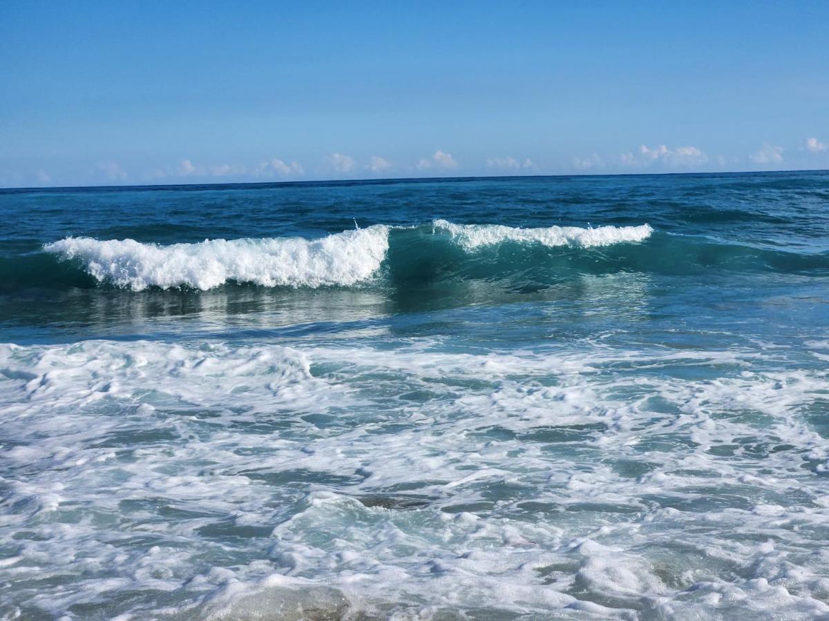Beachfront Apartment, Quiet 4 Beds, 1 Bath, Ac, Wi-Fi, Hot Water, In Paraiso Near Los Patos 外观 照片