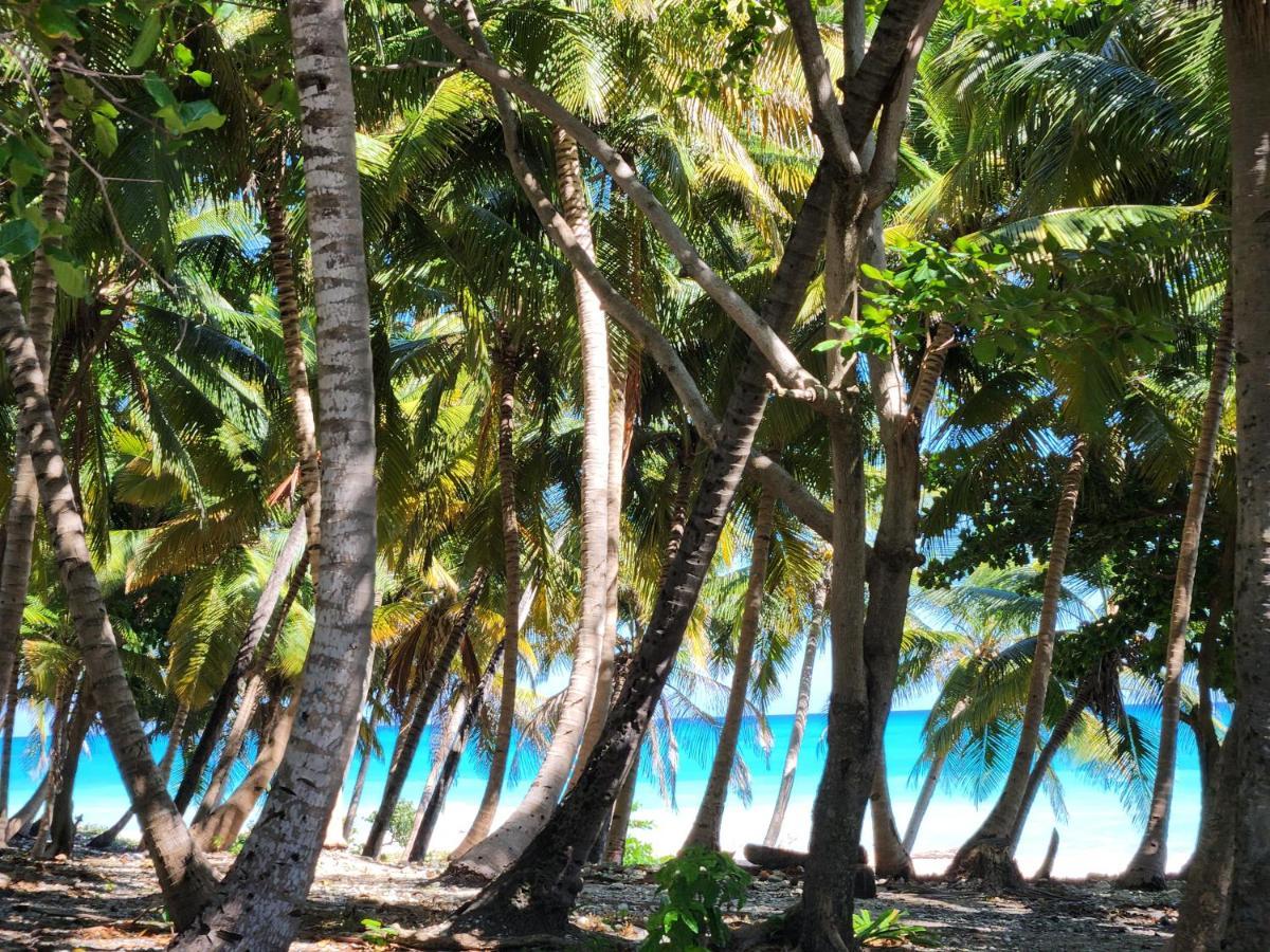 Beachfront Apartment, Quiet 4 Beds, 1 Bath, Ac, Wi-Fi, Hot Water, In Paraiso Near Los Patos 外观 照片