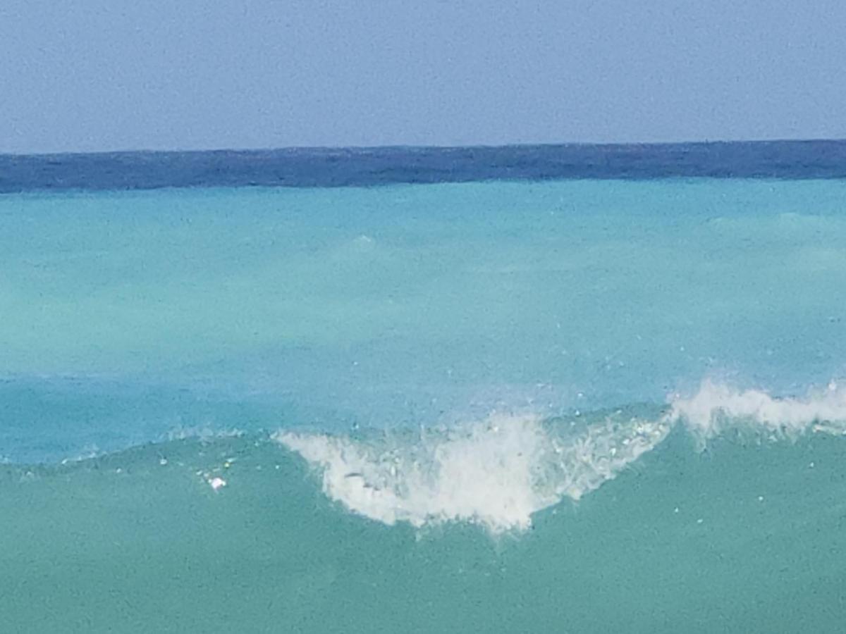 Beachfront Apartment, Quiet 4 Beds, 1 Bath, Ac, Wi-Fi, Hot Water, In Paraiso Near Los Patos 外观 照片