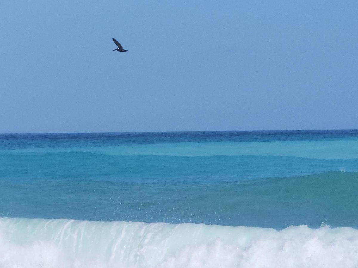Beachfront Apartment, Quiet 4 Beds, 1 Bath, Ac, Wi-Fi, Hot Water, In Paraiso Near Los Patos 外观 照片